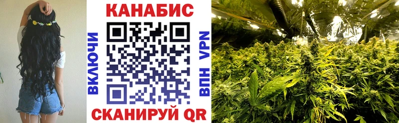 Купить закладки  Вязьма  Конопля тримм 